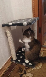 Царапка Lucky Pet домик сезалевый "Симба 2" 33 х 33 х 44 см Черная (4820224215877) фото от покупателей 4