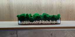Моссариум со стабилизированым мхом MiNature Moss 40см
