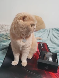 Мышь HyperX Pulsefire FPS Pro RGB USB Black (HX-MC003B/4P4F7AA) фото от покупателей 8