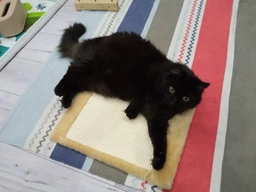 Дряпка-коврик Lucky Pet тканинна ЛПД5, 30х44см