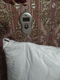 Набор&nbsp;антиаллергенных подушек MirSon на молнии EcoSilk №1701&nbsp;Eco&nbsp;Light&nbsp;White 2 шт (2200003966459) фото от покупателей 18