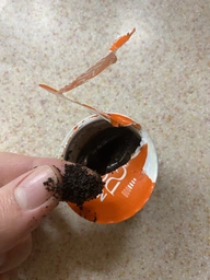 Набір кави в капсулах Nescafé Dolce Gusto Lungo – 90 капсул фото від покупців 3