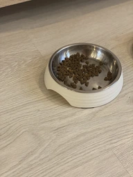 Сухий корм для кошенят ACANA First Feast 340 г (a71428) фото від покупців 1