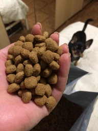 Сухой корм Royal Canin Gastrointestinal Low Fat Dog диетический для собак при расстройствах пищеварения 3кг фото от покупателей 13