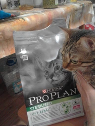 Сухий корм Purina Pro Plan Sterilised Adult 1+ Renal Plus для стерилізованих котів з індичкою 1.5 кг