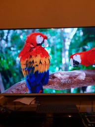 Телевизор Skyworth 43G6 фото от покупателей 6
