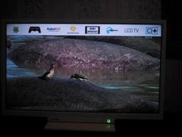 Телевизор Toshiba 24W1754DG (WY36dnd-198813)