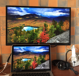 Монитор 23.8" LG UltraFine 24UD58-B фото от покупателей 13