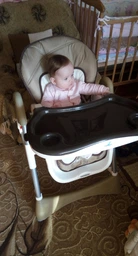 Стульчик для кормления Caretero Bistro Grey (Car.Bistro(grey)) фото от покупателей 18