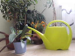 Лійка Plastkon Spring 10,5 л салатова фото від покупців 10