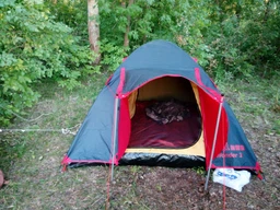 Палатка Tramp Lite Wonder 3 olive UTLT-006 фото от покупателей 2