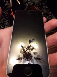Мобильный телефон Apple iPhone 5s 16GB Gold фото от покупателей 16