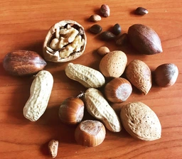 Дополнительный корм для крупных попугаев Versele-Laga Prestige Exotic Nut Mix зерновая смесь 750 г (5410340217825) фото от покупателей 1