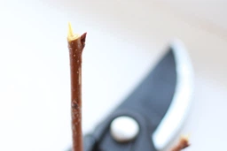 Секатор Fiskars SingleStep P26 обводной (1000567) фото от покупателей 6