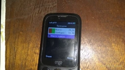 Мобильный телефон Ergo F241 Talk Dual Sim Black