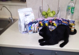 Влажный корм Felix для кошек (с курицей в желе) ТМ "Purina One" 85 г (90840) фото от покупателей 13