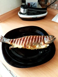 Гриль TEFAL OptiGrill GC702D34 фото от покупателей 9