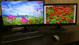 Монитор 27" LG 27MP68HM-P фото от покупателей 15
