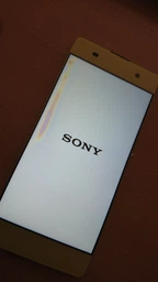Мобильный телефон Sony Xperia X Dual (F5122) White фото от покупателей 3