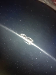 Гітара електроакустична Cort AD810E OP фото від покупців 2
