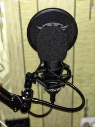 Мікрофон TRUST GXT 252+ Emita Plus Streaming Microphone (TR22400) фото от покупателей 6