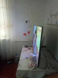 Телевизор Skyworth 43G6 фото от покупателей 2
