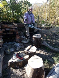 Пила ланцюгова Зеніт ЦПЛ - 4026 А (843863) фото від покупців 4