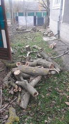 Пила ланцюгова Зеніт ЦПЛ - 4026 А (843863) фото від покупців 3