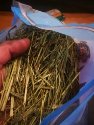 Kaytee Alfalfa Hay (КЕЙТИ АЛЬФАЛЬФА ХЕЙ) ЛЮЦЕРНА СЕНО корм для грызунов до 1 года, беременных, кормящих, 0.68 кг фото от покупателей 1