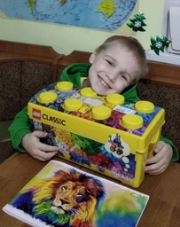 Конструктор LEGO Classic Коробка кубиків LEGO для творчого конструювання середнього розміру 484 деталі (10696)
