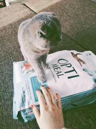 Сухой корм Optimeal для котят, с курицей, 200 + 100 г