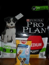 Сухой корм PRO PLAN Medium Puppy Healthy Start для щенков средних пород, с курицей 12 кг фото от покупателей 11