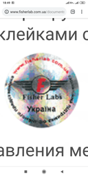 Металлоискатель Fisher F22 фото от покупателей 8