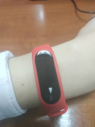 Фитнес-браслет Xiaomi Mi Band 2 OLED Red + Черный ремешок в подарок! фото от покупателей 1