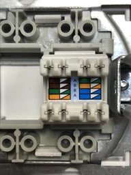 Розетка компьютерная RJ-45, кремовый, EPH4300123 Schneider Asfora фото от покупателей 4