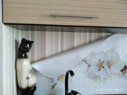 Кухонный фартук Цветы вишни (наклейка для кухни, самоклеющаяся виниловая пленка скинали) белый 600*2500 мм фото от покупателей 1