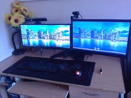 Монитор 25" LG UltraWide 25UM58-P фото от покупателей 19