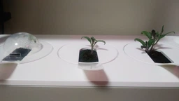 Сменный картридж Click&Grow Мини томат 3 шт (4742793007304) фото от покупателей 3
