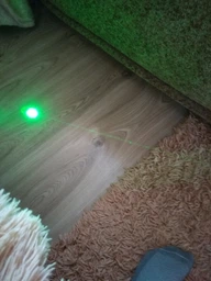 Лазерная указка TYLaser 303 (532nm, 500 мВт, 1х18650) фото от покупателей 12