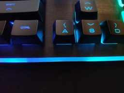 Клавиатура проводная Cougar Core EX USB