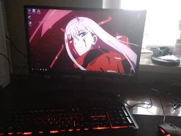 Монітор 23.6" Acer ED242QRAbidpx (UM.UE2EE.A01) - 144 Гц частота оновлення