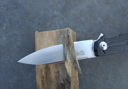 Карманный нож Firebird by Ganzo FH21-BK фото от покупателей 9