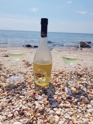 Коктейль винный игристый Martini Spritz Bianco белое полусладкое 0.75 л 8% (8000570860006) фото от покупателей 2
