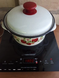 Настольная плита ESPERANZA EKH006 фото от покупателей 13