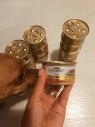 Корм вологий Gourmet Gold для котів з яловичиною 85 г (7613036330596) фото от покупателей 9