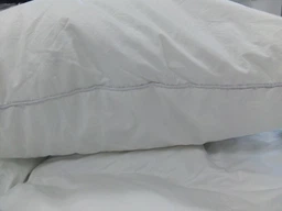 Подушка пуховая MirSon Luxury Exclusive 151 мягкая 50x70 см (2200000013613)