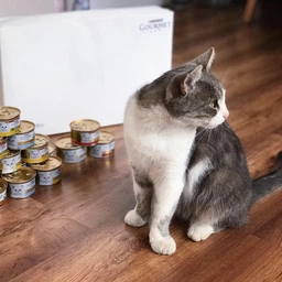Корм вологий Gourmet Gold для котів з яловичиною 85 г (7613036330596) фото от покупателей 6