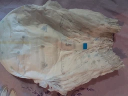 Підгузки Pampers Premium Care Pants Midi Розмір 3 (6-11 кг), 28 шт. (4015400687894) фото від покупців 1