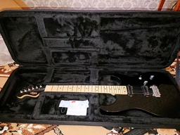Кейс для электрогитары GATOR GL-ELECTRIC Electric Guitar Lightweight Case фото от покупателей 3