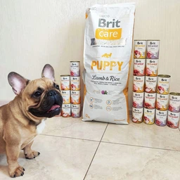 Cухой корм для щенков Brit Care Dog Hypoallergenic Puppy 1кг, с ягненком фото от покупателей 13